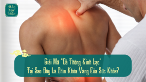 Giải Mã "Đả Thông Kinh Lạc": Tại Sao Đây Là Chìa Khóa Vàng Của Sức Khỏe?