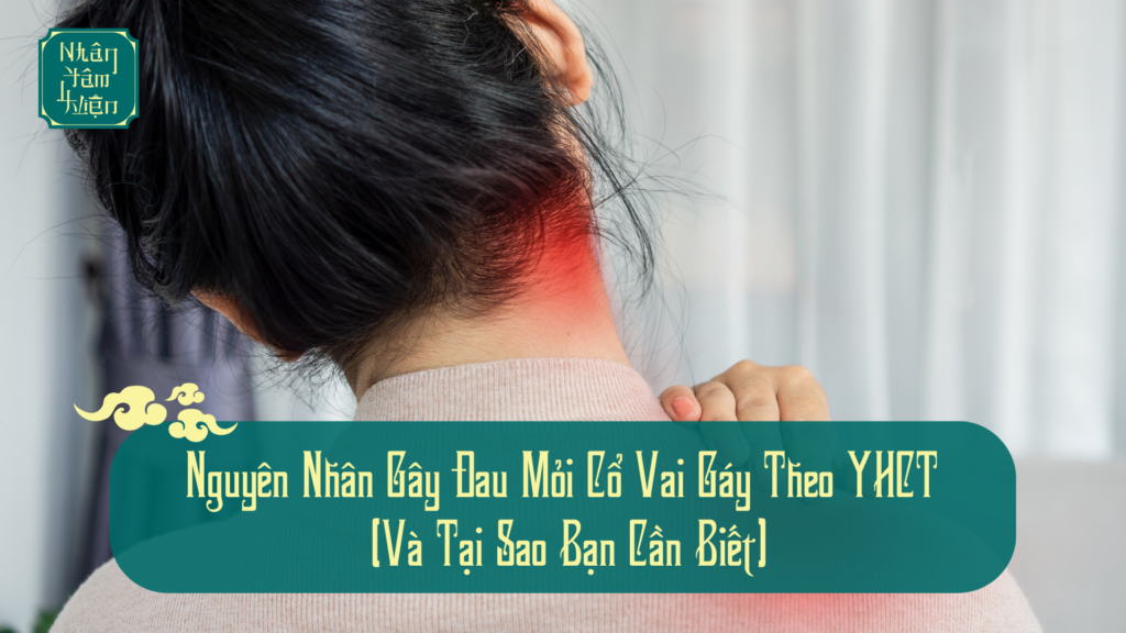Nguyên Nhân Gây Đau Mỏi Cổ Vai Gáy Theo Y Học Cổ Truyền (Và Tại Sao Bạn Cần Biết)