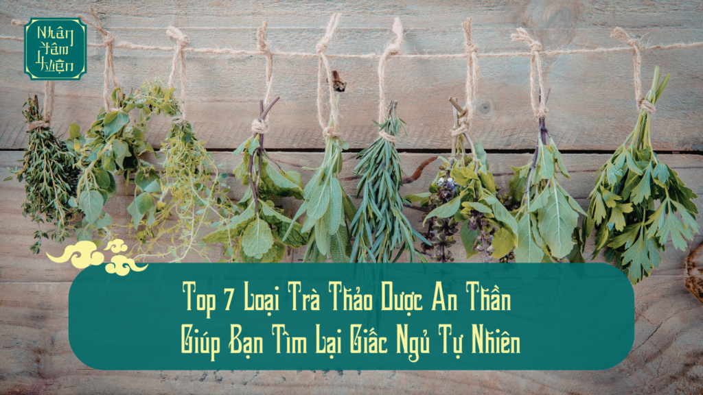 Top 7 Loại Trà Thảo Dược An Thần Giúp Bạn Tìm Lại Giấc Ngủ Tự Nhiên