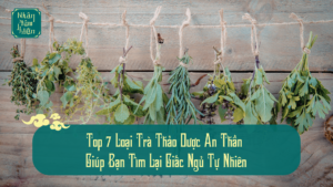 Top 7 Loại Trà Thảo Dược An Thần Giúp Bạn Tìm Lại Giấc Ngủ Tự Nhiên