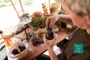  Thải Độc Gan, Thanh Nhiệt Cơ Thể Bằng Các Loại Thảo Dược Quen Thuộc