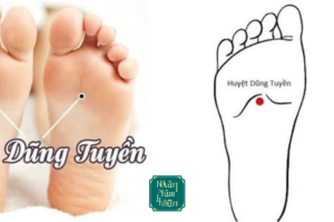 Huyệt Dũng Tuyền: "Suối Nguồn" Sưởi Ấm Tạng Thận, Dẫn Hỏa Quy Nguyên