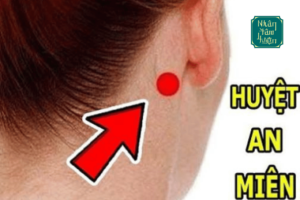 Huyệt An Miên: Bình Can Định Chí, Mang Lại Giấc Ngủ Bình Yên