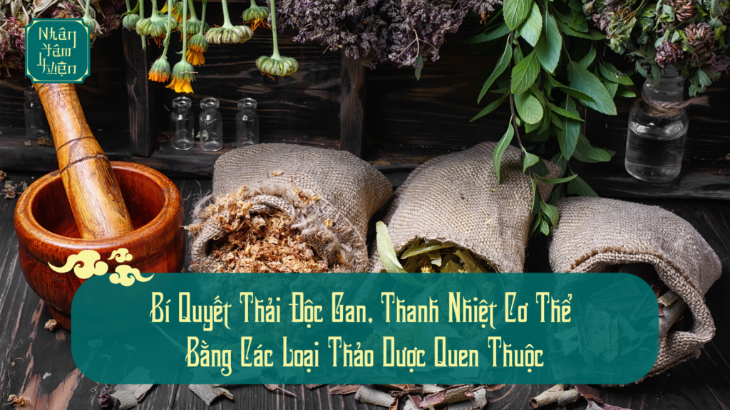 Bí Quyết Thải Độc Gan, Thanh Nhiệt Cơ Thể Bằng Các Loại Thảo Dược Quen Thuộc